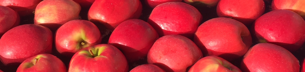 apples banner 2